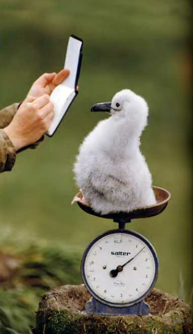 Впр–2021, Биология–8: Задания, Ответы, Решения. Обучающая Система Дмитрия  Гущина.